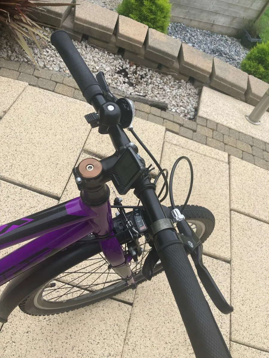 Giant ARX 24” mountain bike - Image 2