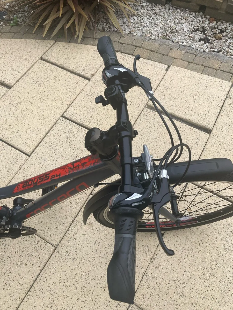 Carrera Abyss 24” mountain bike - Image 2