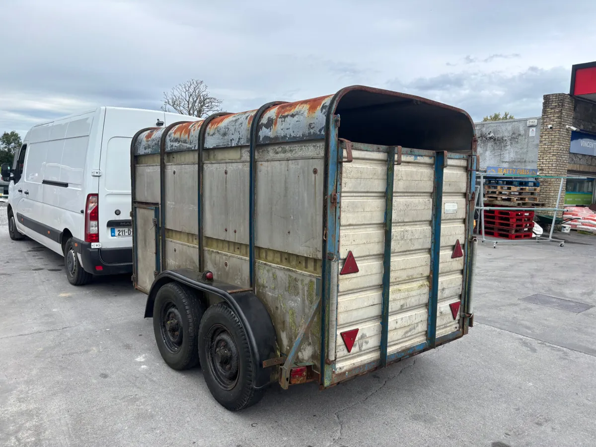 10ft livestock trailer - Image 4
