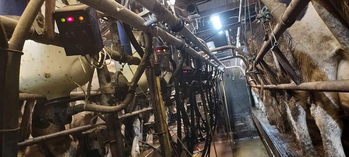 Milking machine - Image 2