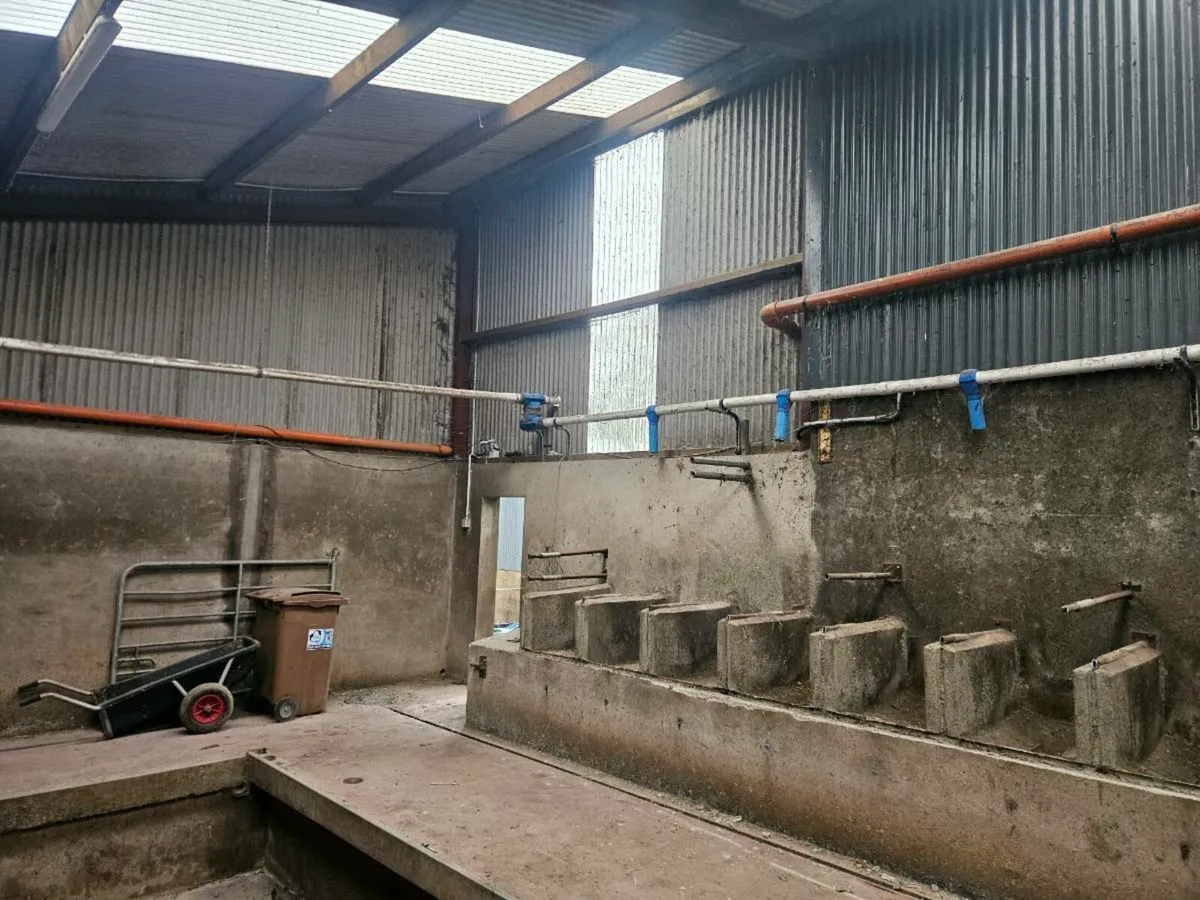 Meal augers - Image 3