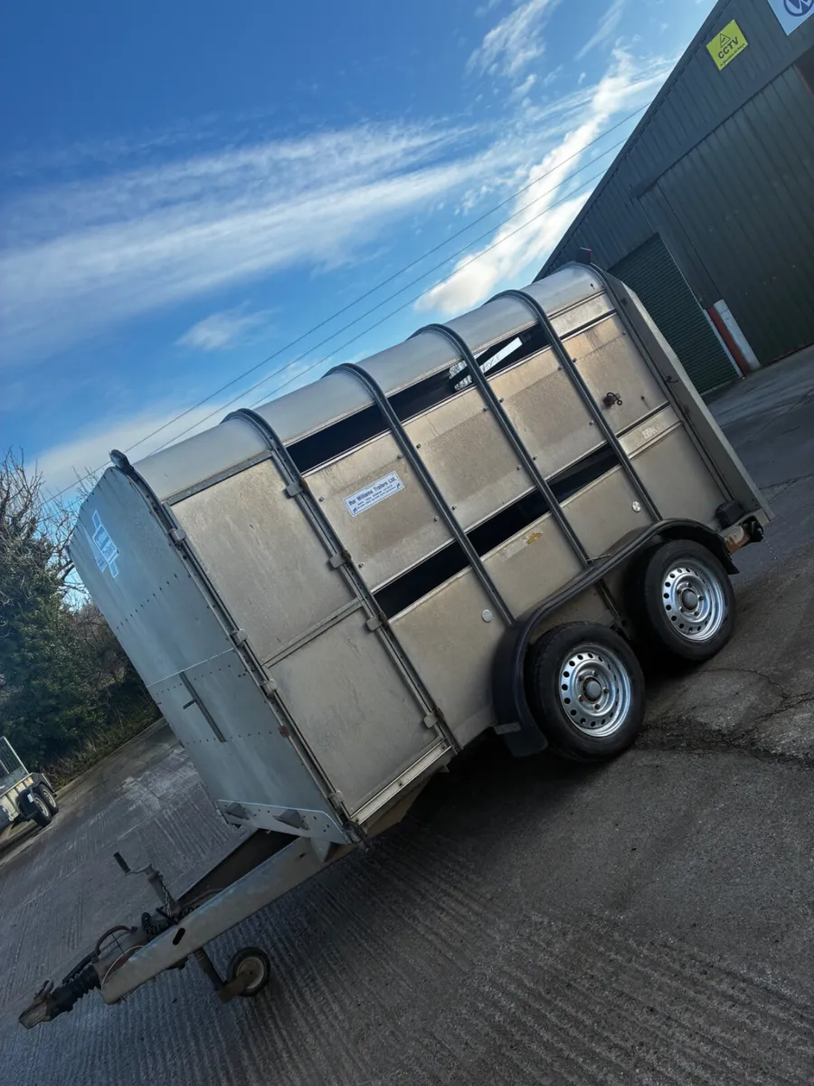 10ft ifor Williams with decks - Image 3