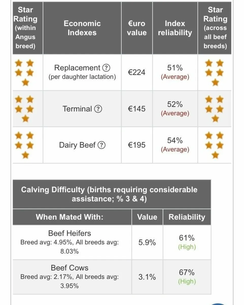 ORGANIC BULLS - Image 2