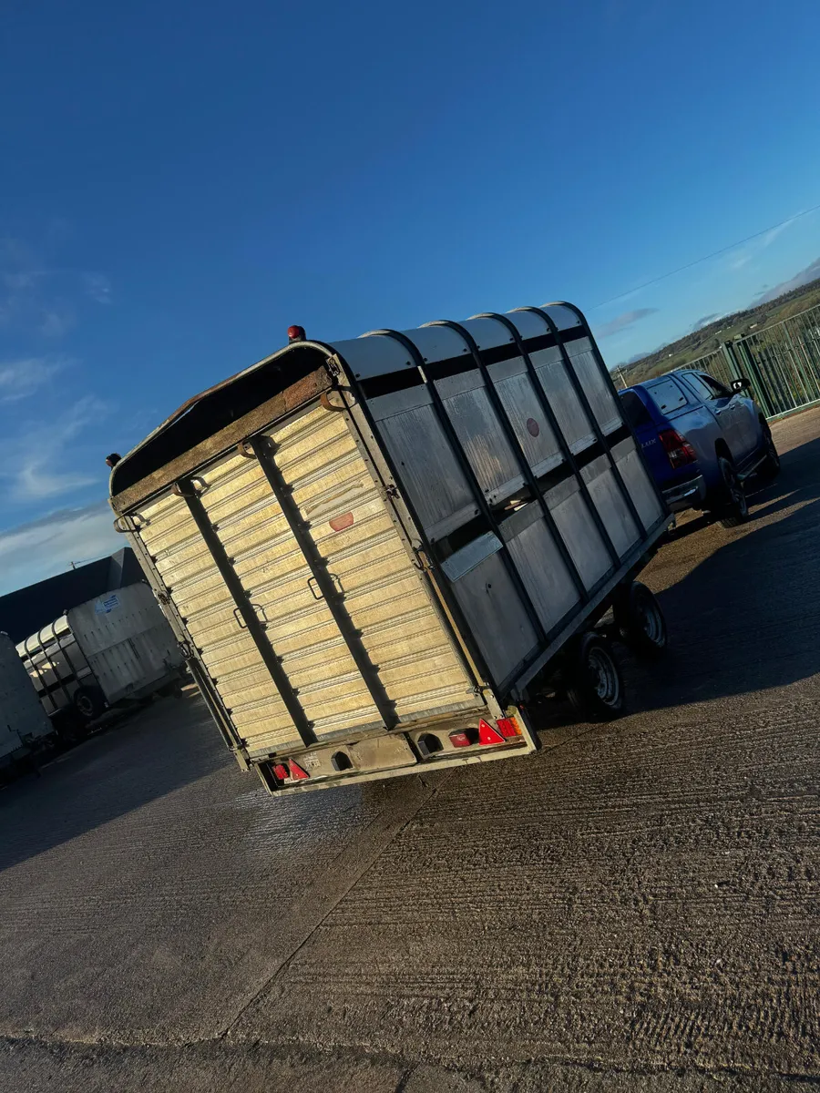10x6ft 6 Ifor Williams livestock trailer - Image 4