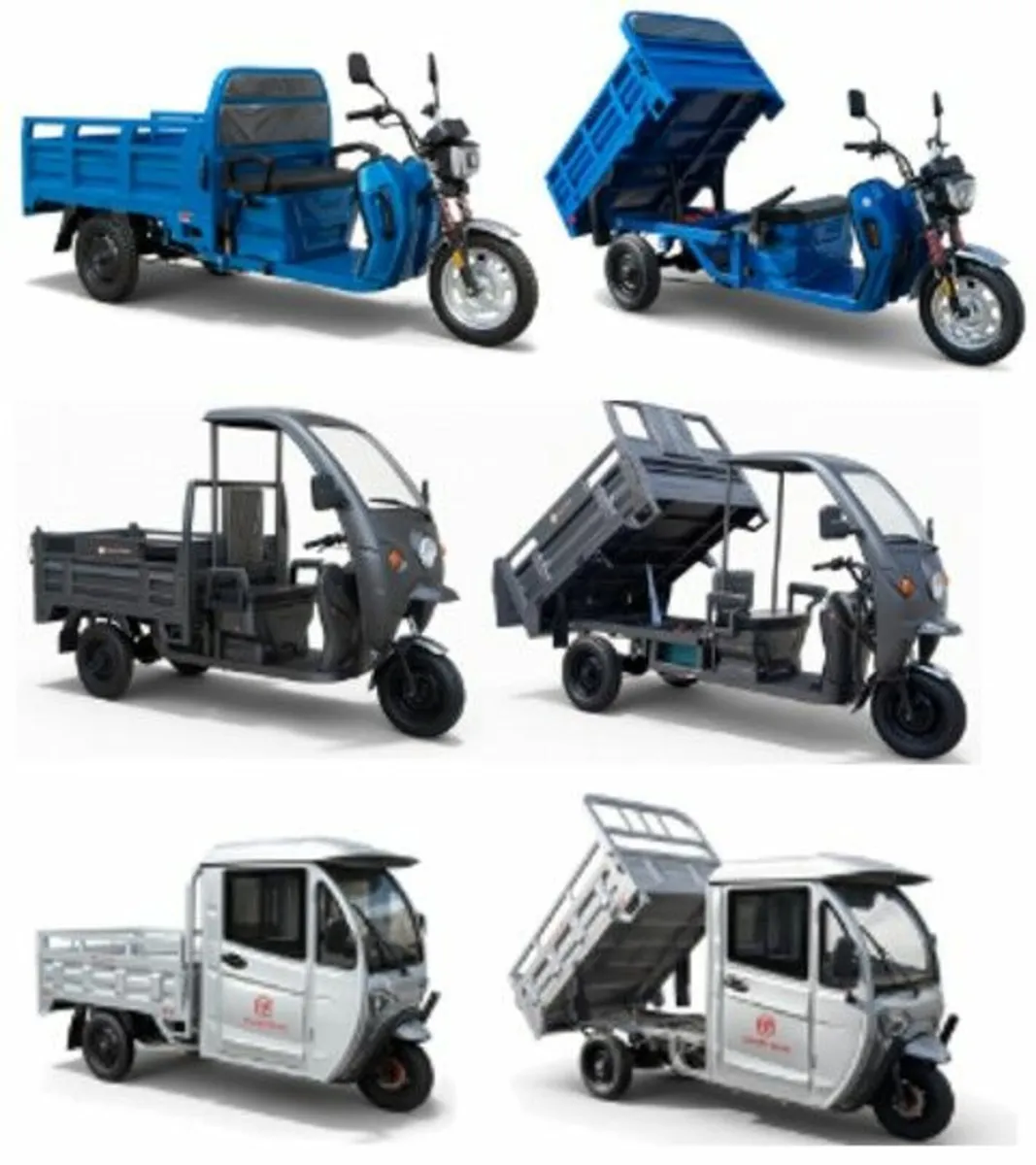 Gator alternative. Electric Cargo Tricycle. - Image 1