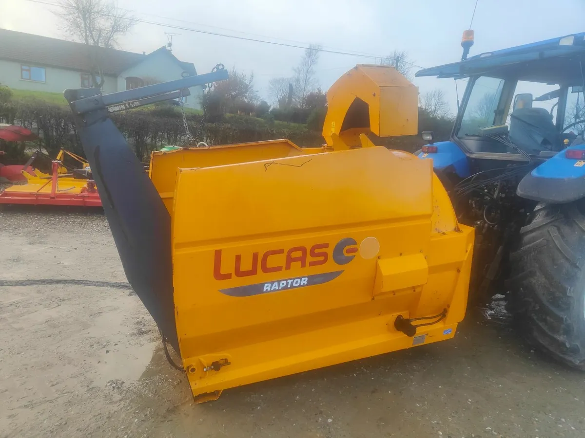 Lucas raptor - Image 4