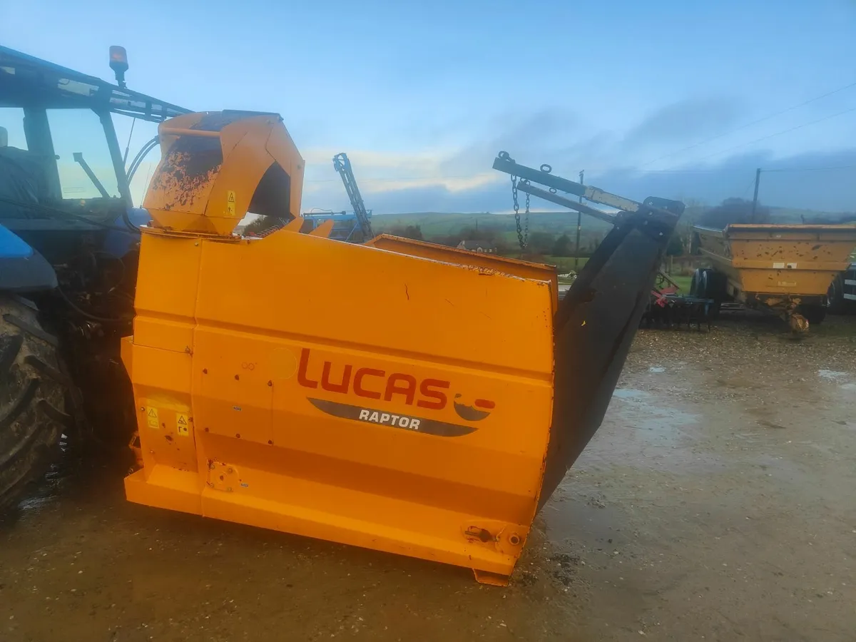 Lucas raptor - Image 1