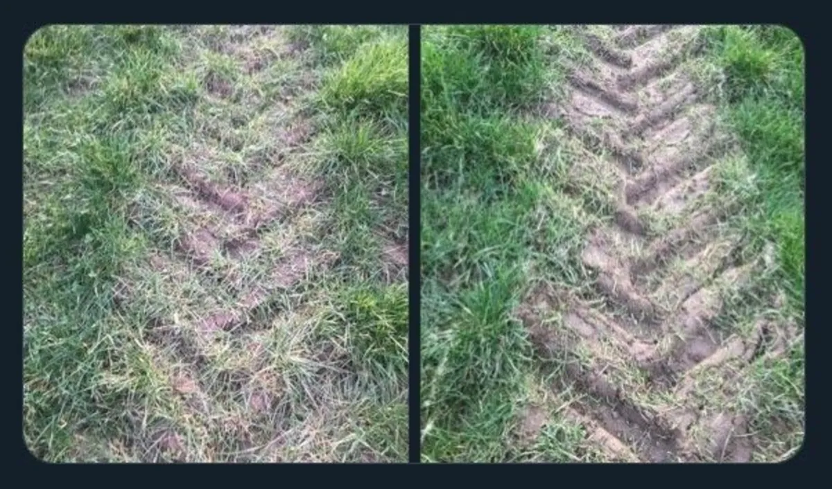 Sobac Soil Amendment - Image 3