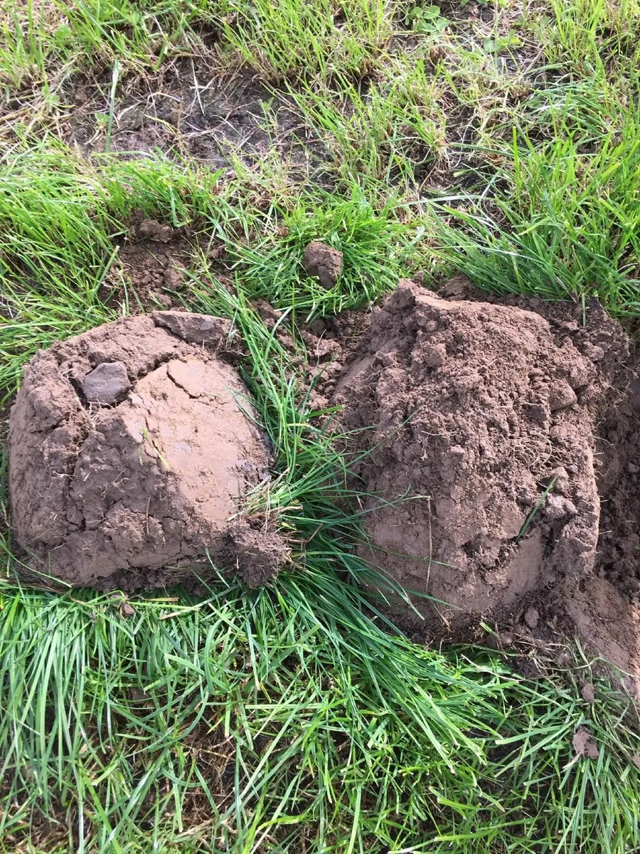 SOBAC - SOIL AMENDMENT - Image 3