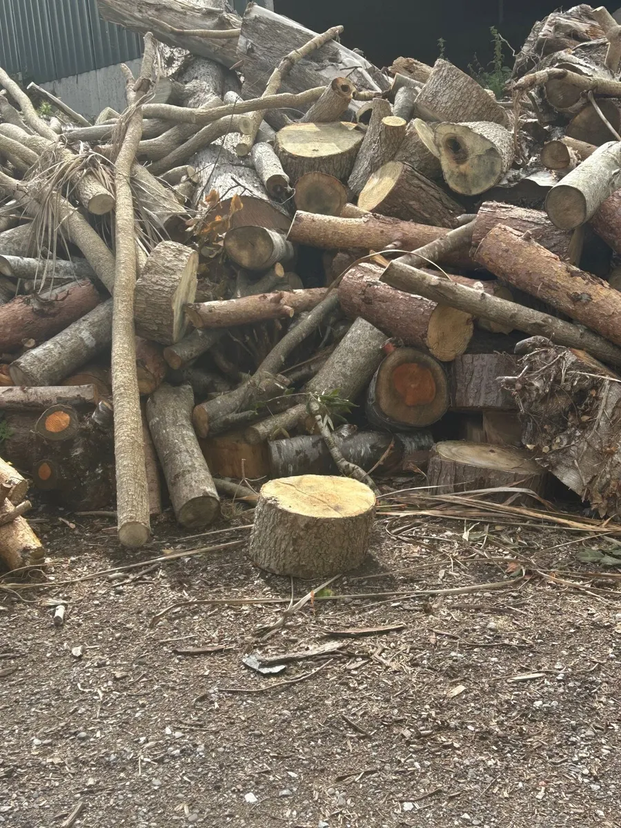 Timber for sale - Image 1