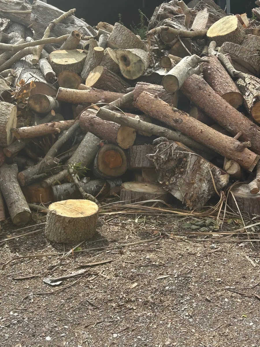 Timber for sale - Image 2