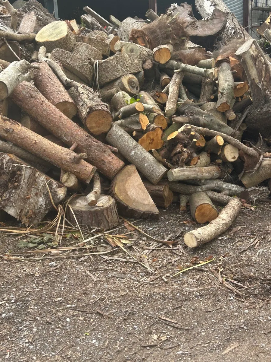 Timber for sale - Image 3