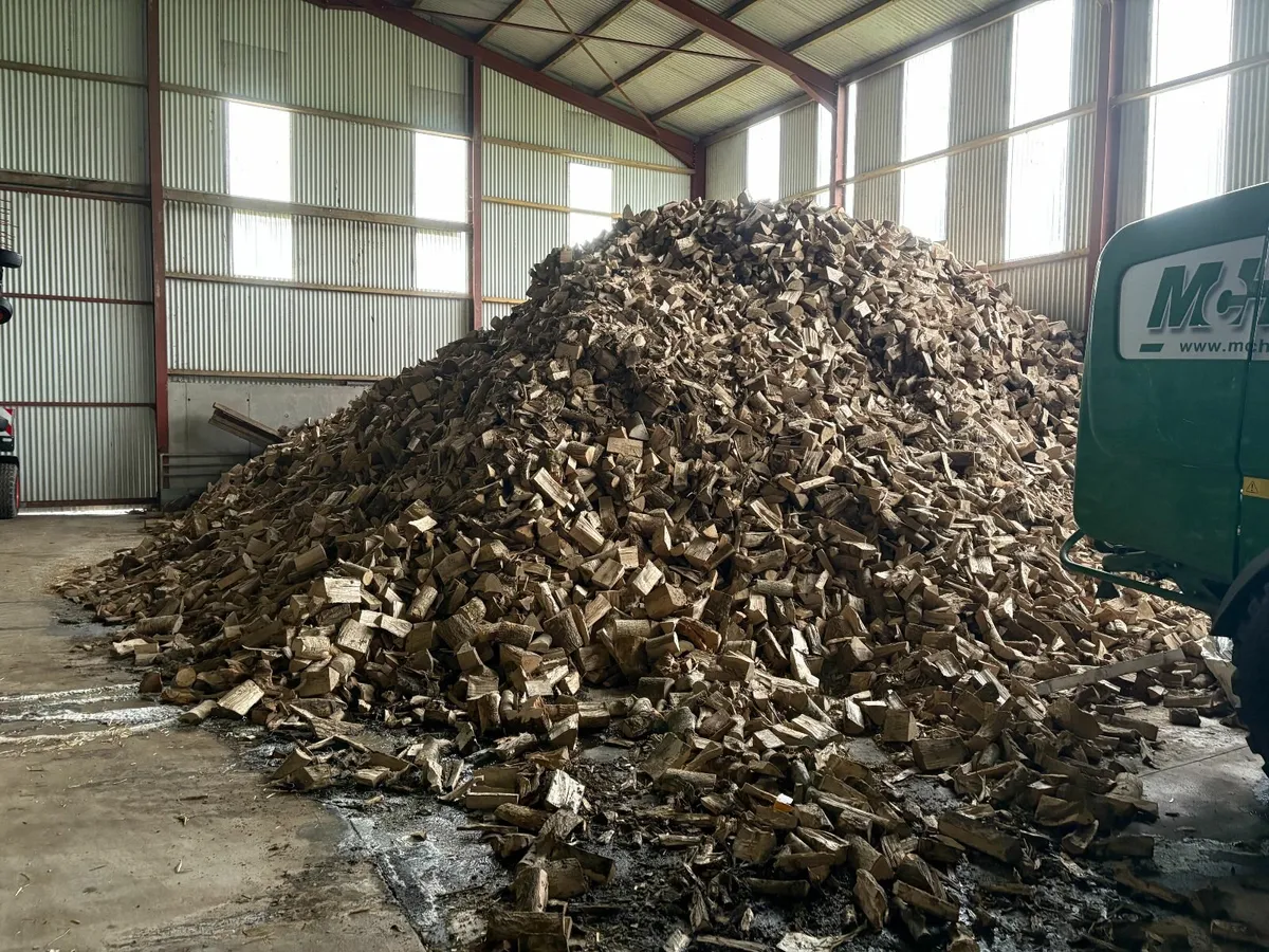 DRIED FIREWOOD - Image 1