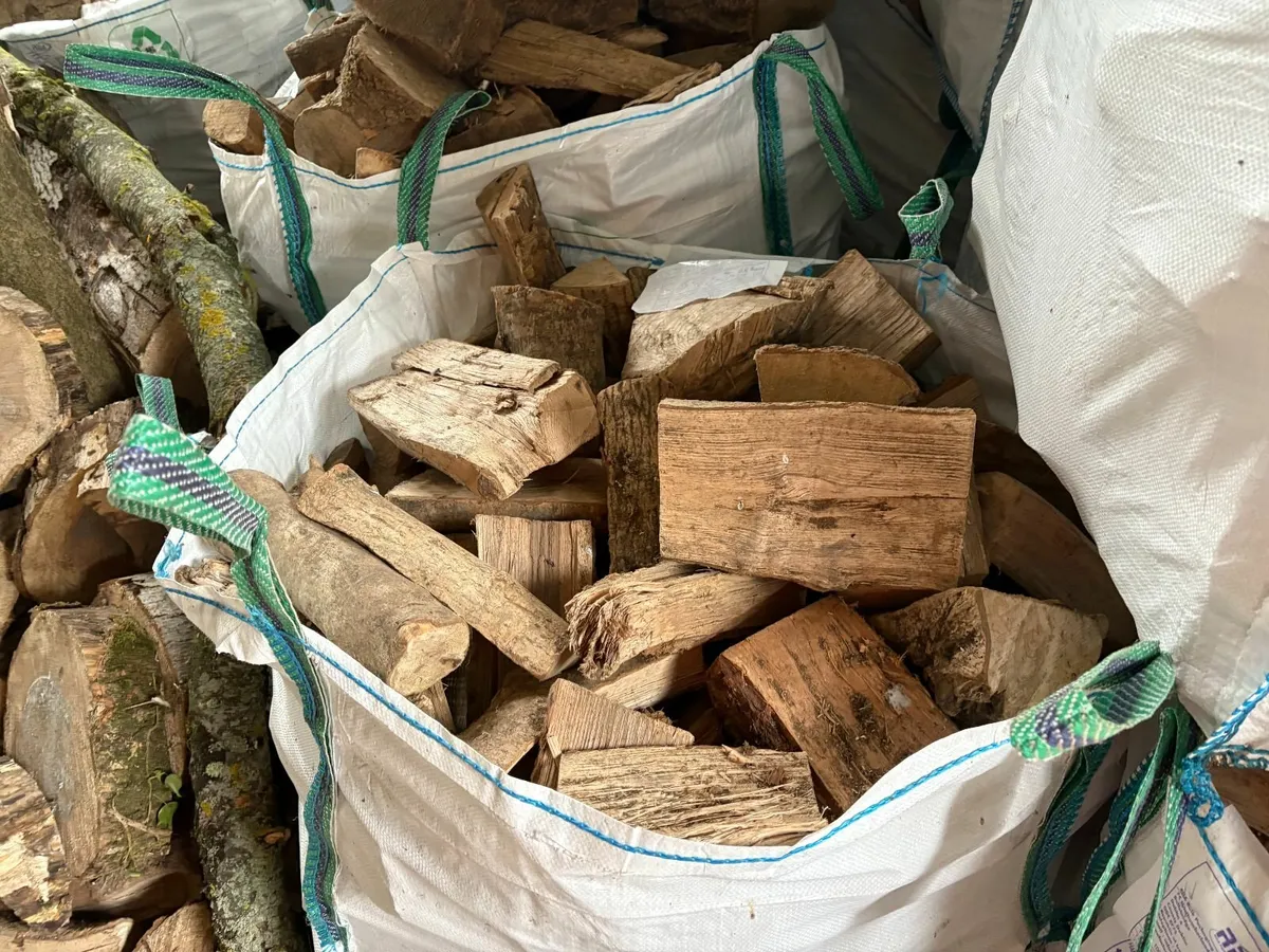 DRIED FIREWOOD - Image 3