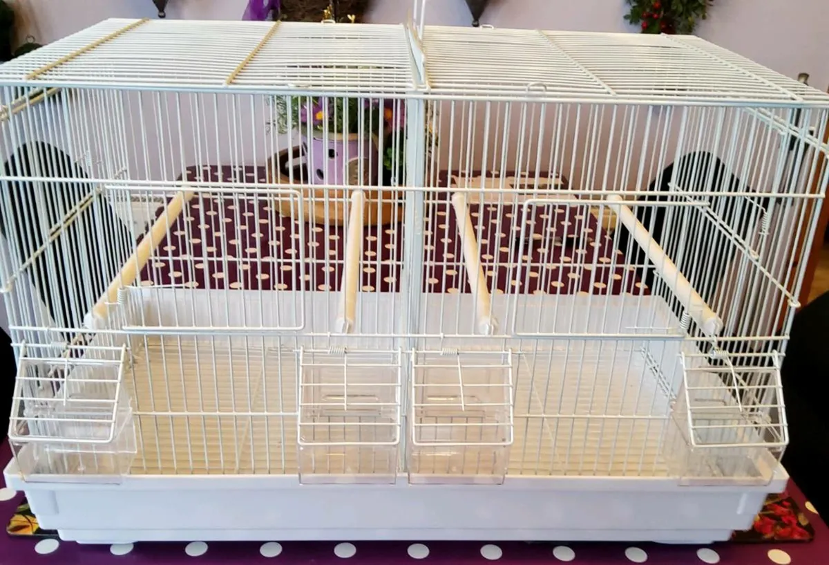 Bird cages - Image 1