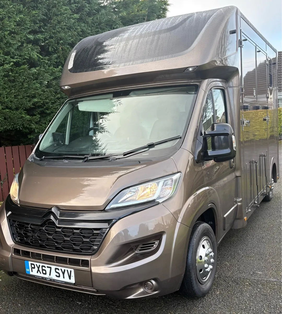Citroen Relay 2018 Brand New Unused Horsebox - Image 1