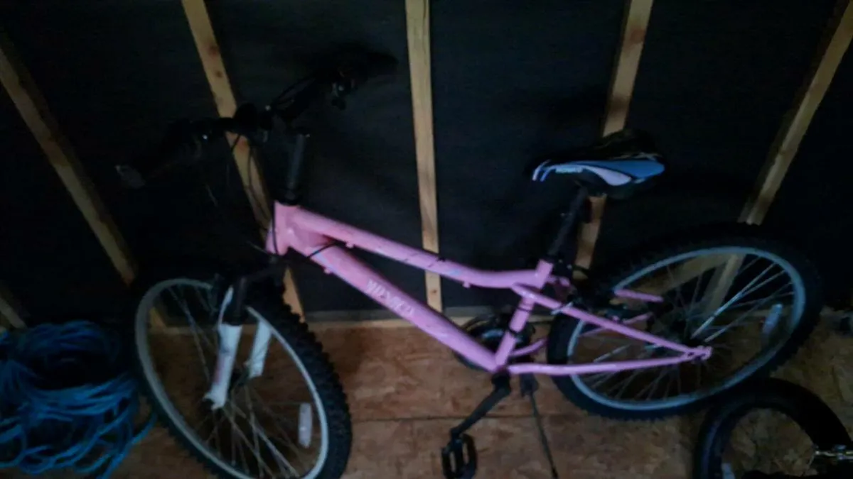 Bike - Image 2