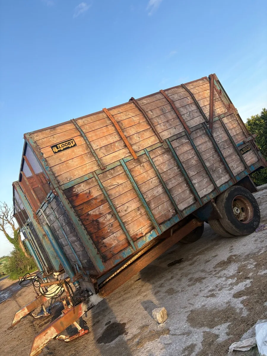 Looby Sailge trailers x2 - Image 2