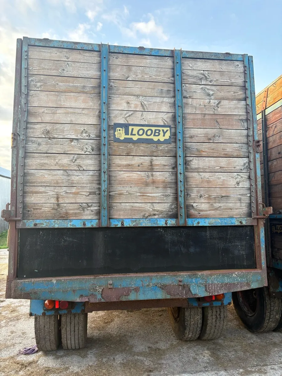 Looby Sailge trailers x2 - Image 3