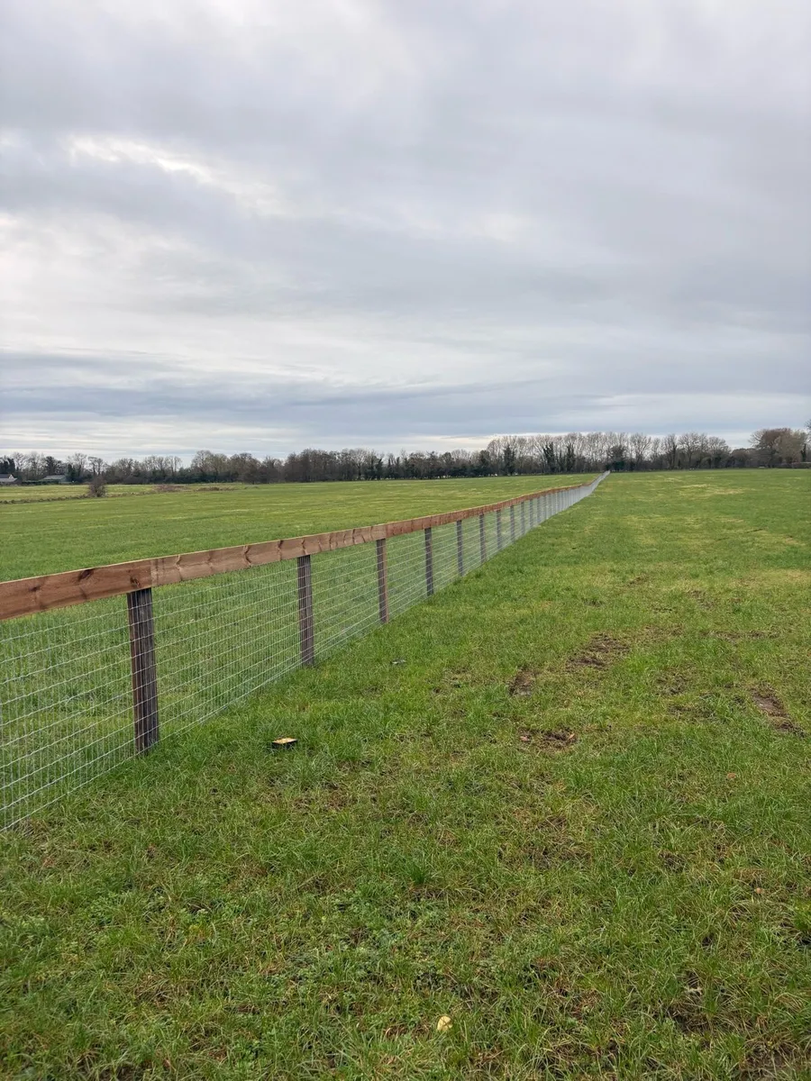 Cassidy fencing and groundwork’s - Image 4