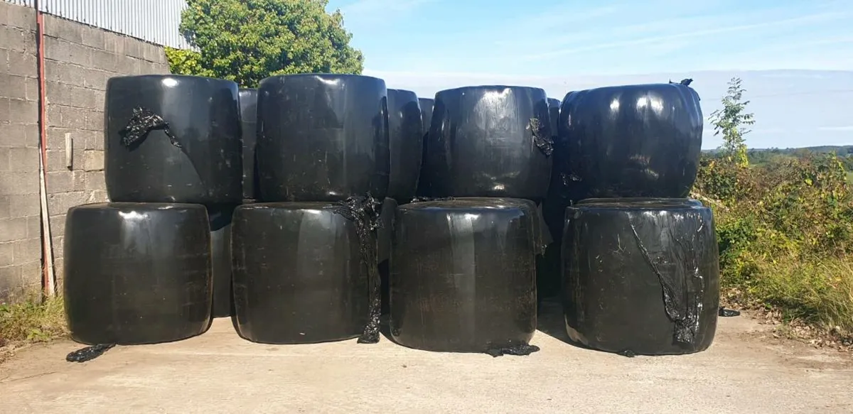 silage for sale. - Image 1