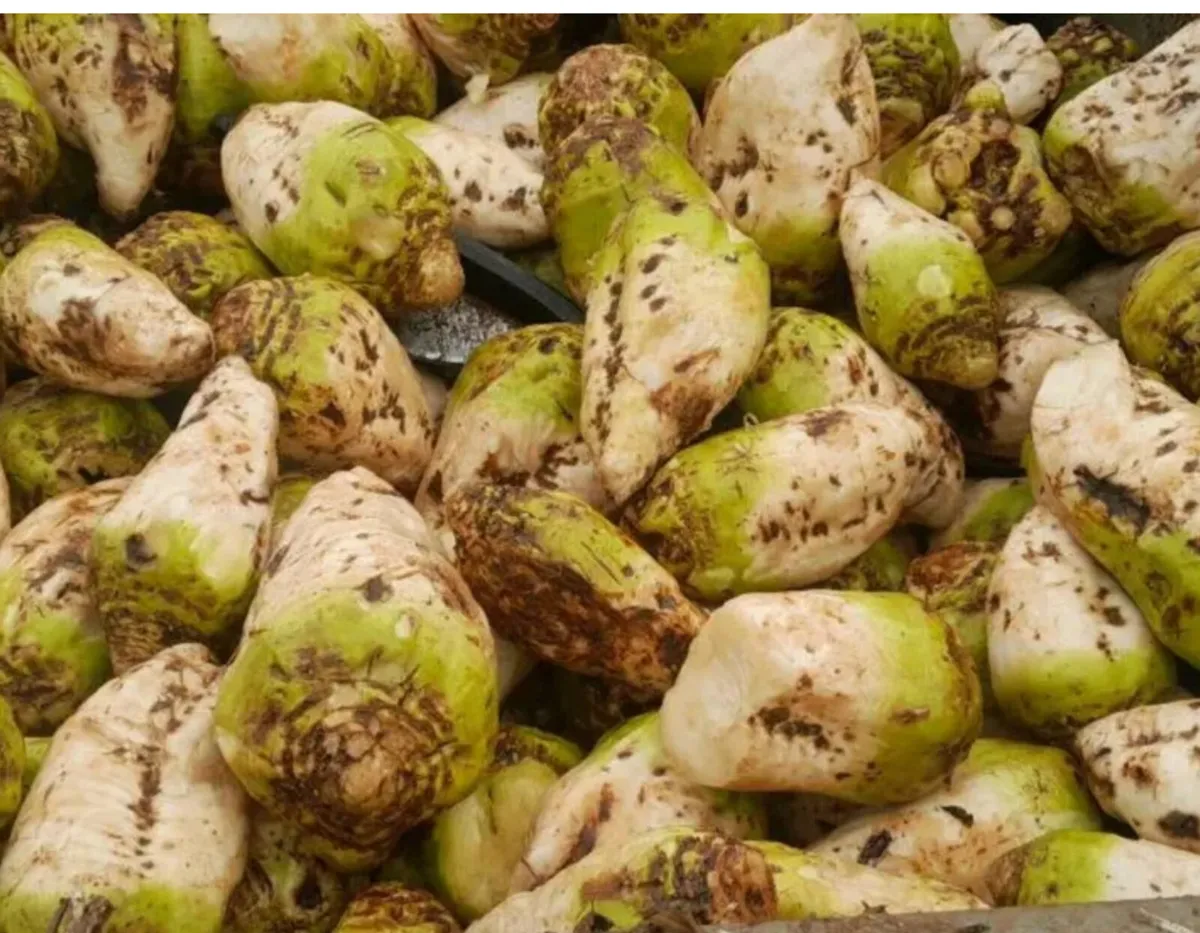 Washed Beet and straw for sale - Image 2