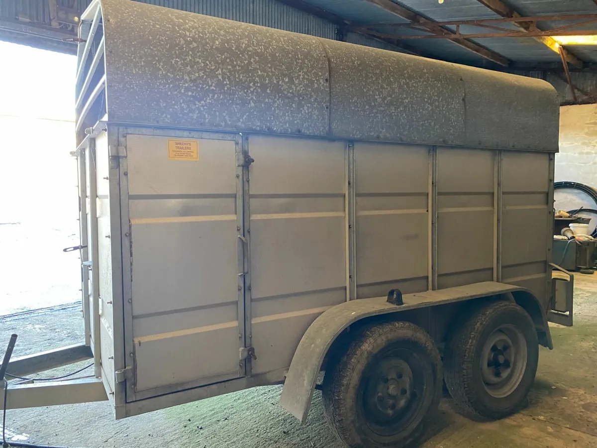 Cow box / cattle trailer - 10ft x 5.5ft - Image 3