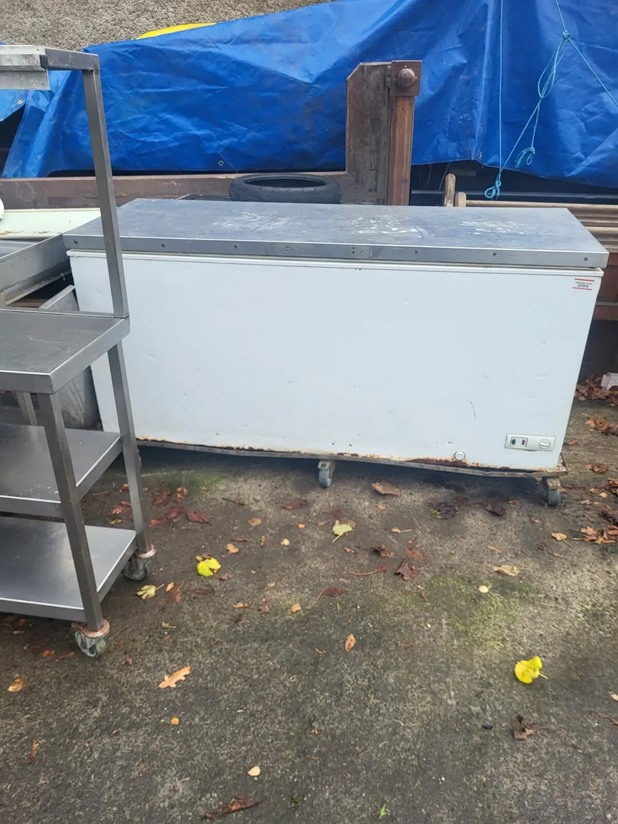 Cest freezers - Image 2