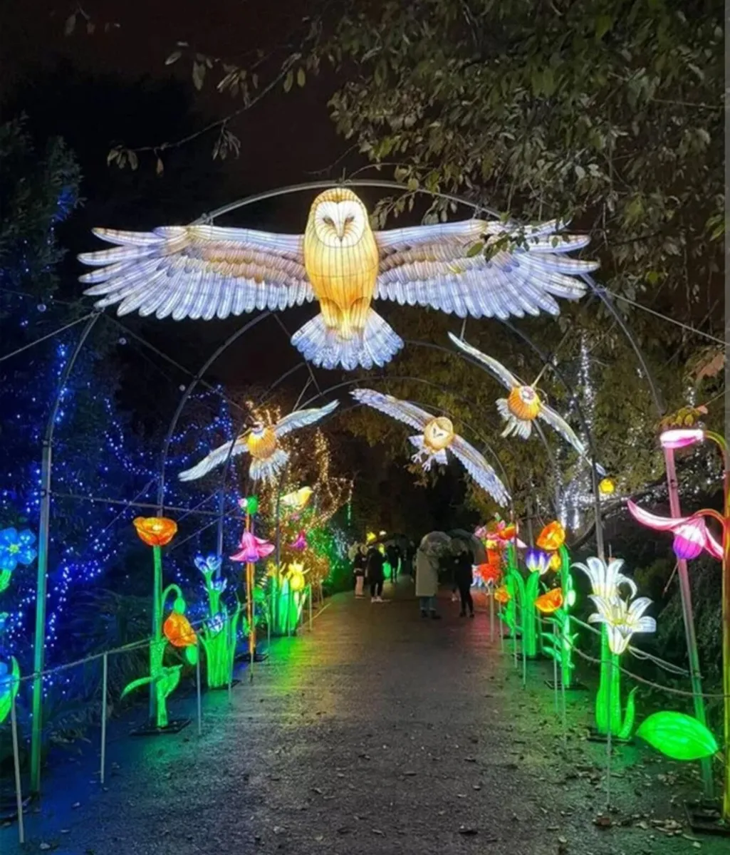 Wild Lights tickets Sunday Dec 7th at 7pm