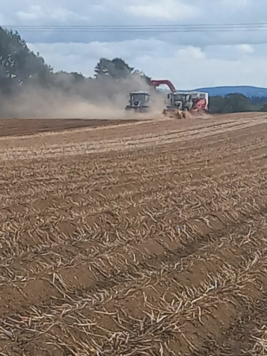 Farm staff wanted - Image 3