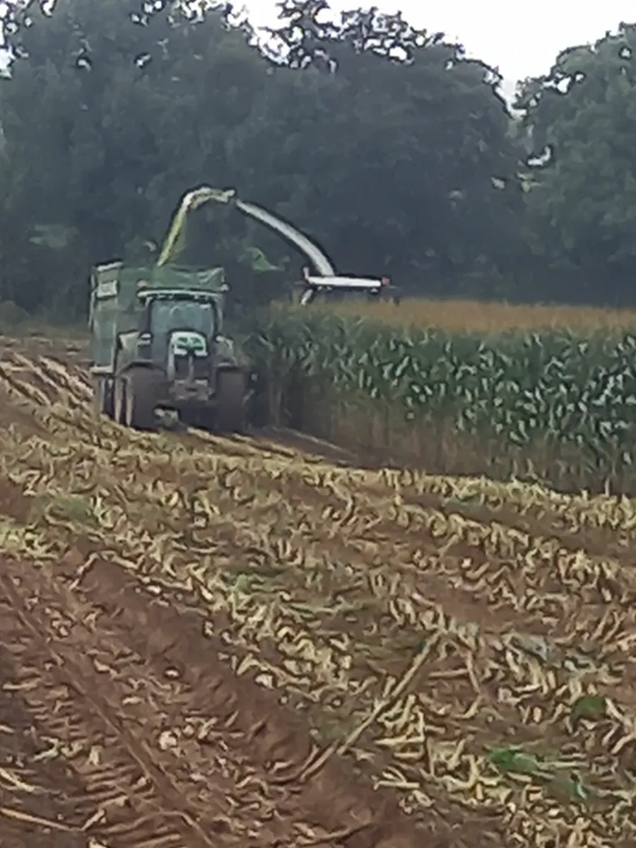 Farm staff wanted - Image 2