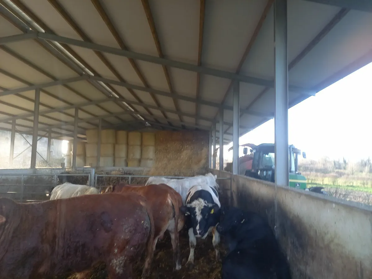 Farm staff wanted - Image 4