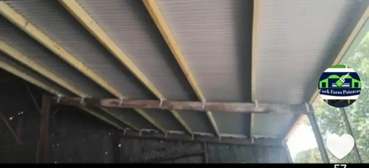 Munster Farm Shed Repairs & Painting - Image 4