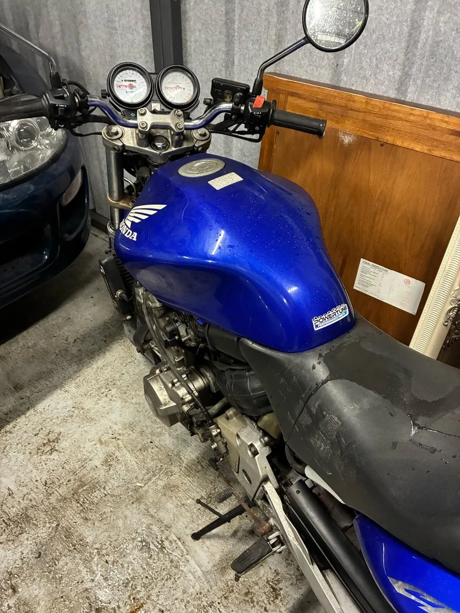 Honda hornet - Image 4