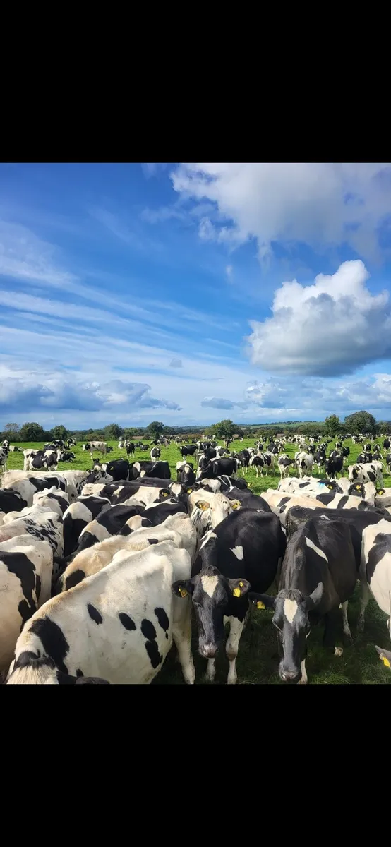 Farm assistant - Image 1