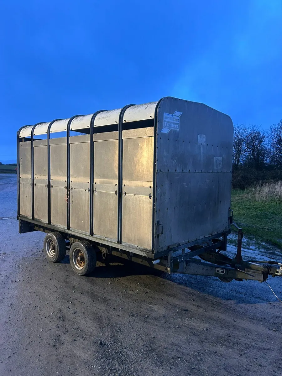 Ifor Williams dp120 12x6'6 - Image 1