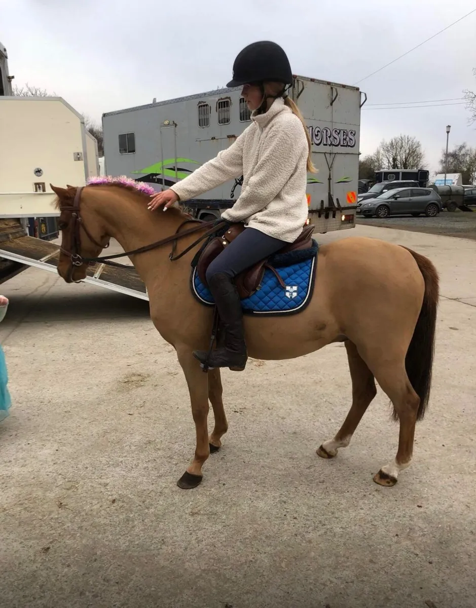 Show pony/ lead rein - Image 4