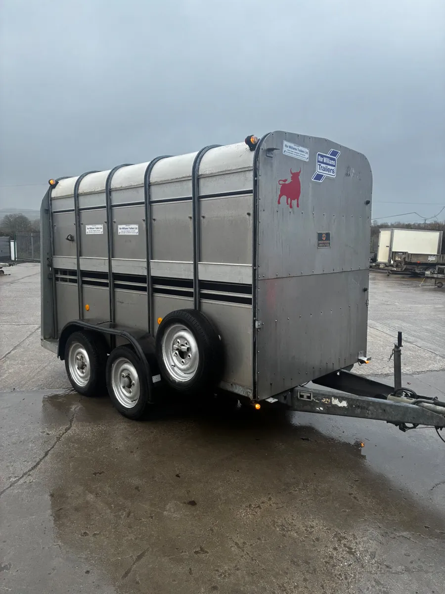 10x5 ifor Williams cattle trailer - Image 1