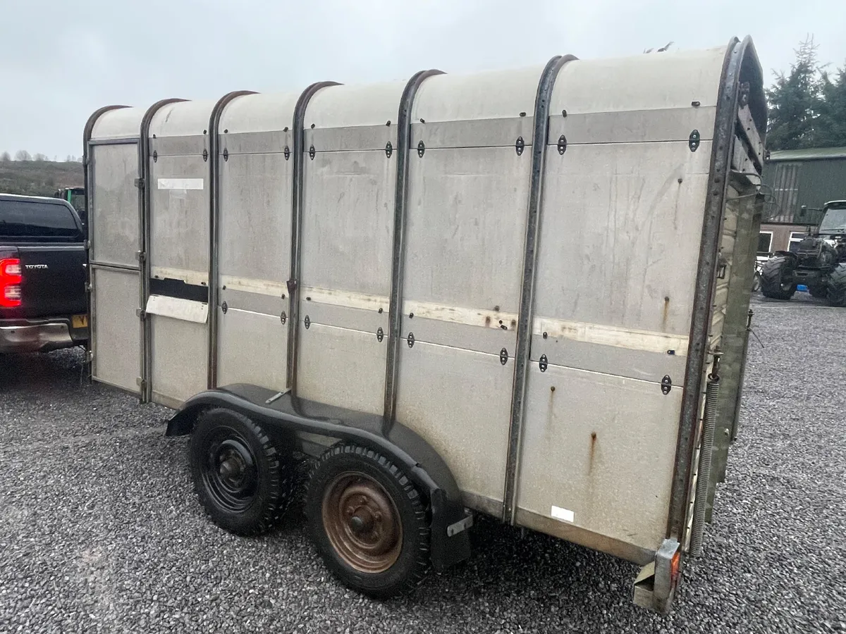 Ifor Williams 12 x 5 cattle trailer - Image 2