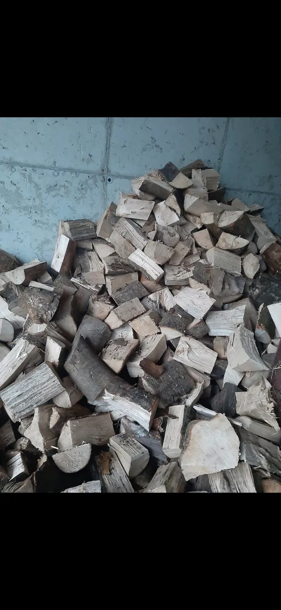 Firewood - Image 1