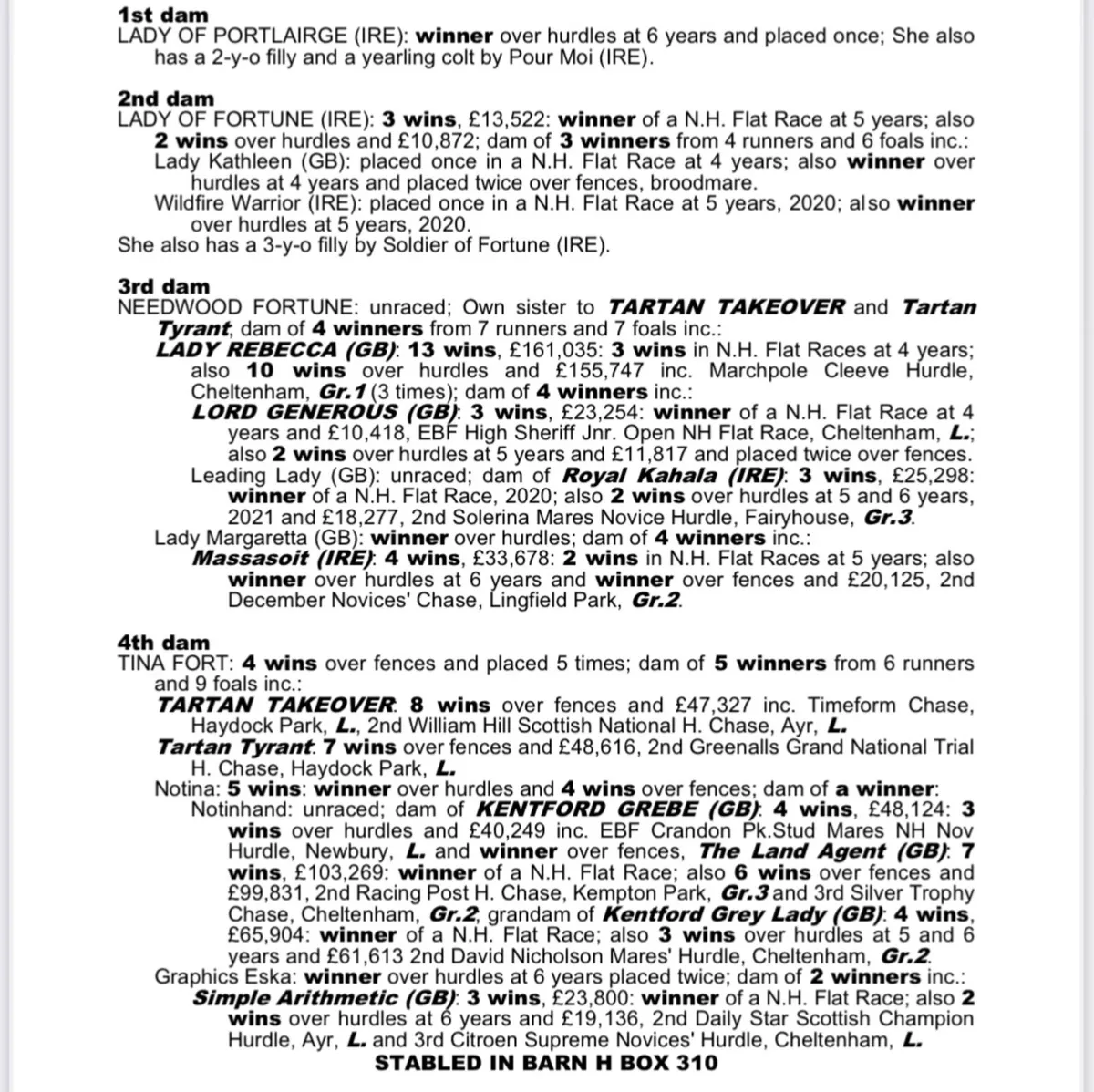 3 year old Thoroughbred - Image 2