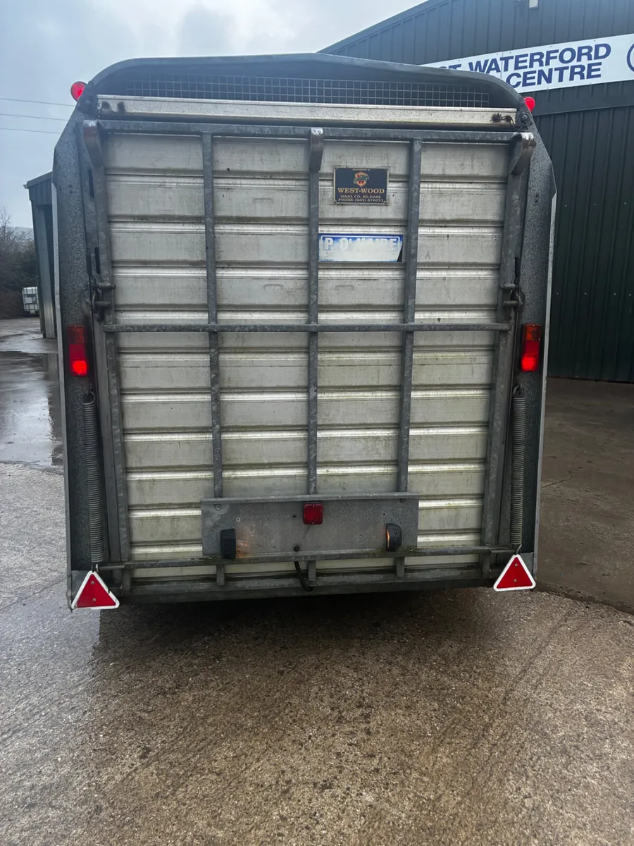 10x5 ifor Williams cattle trailer - Image 4