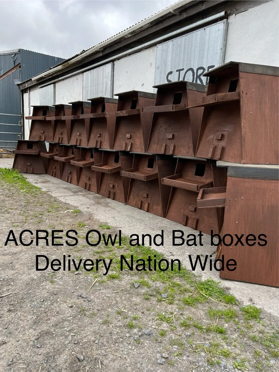 Owl boxes - Image 1