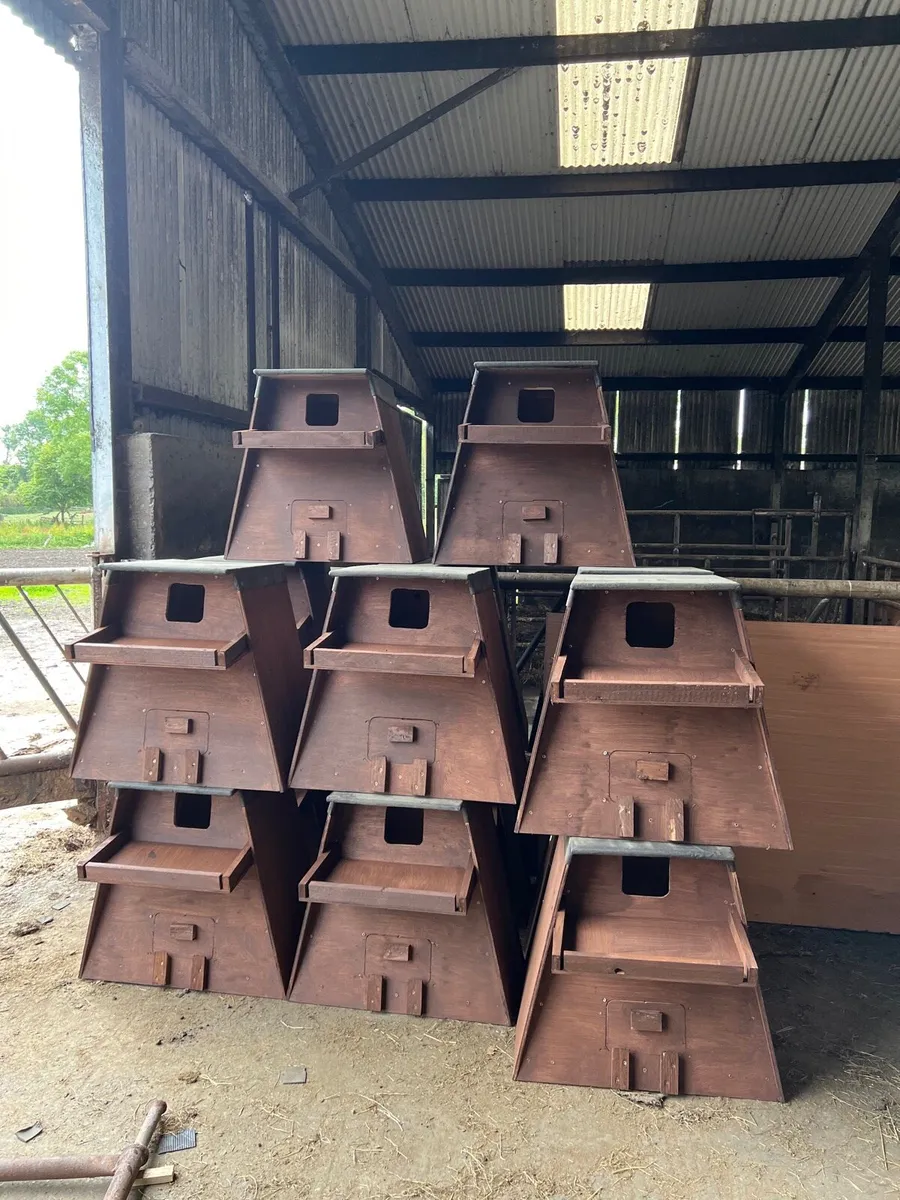 Owl boxes - Image 4