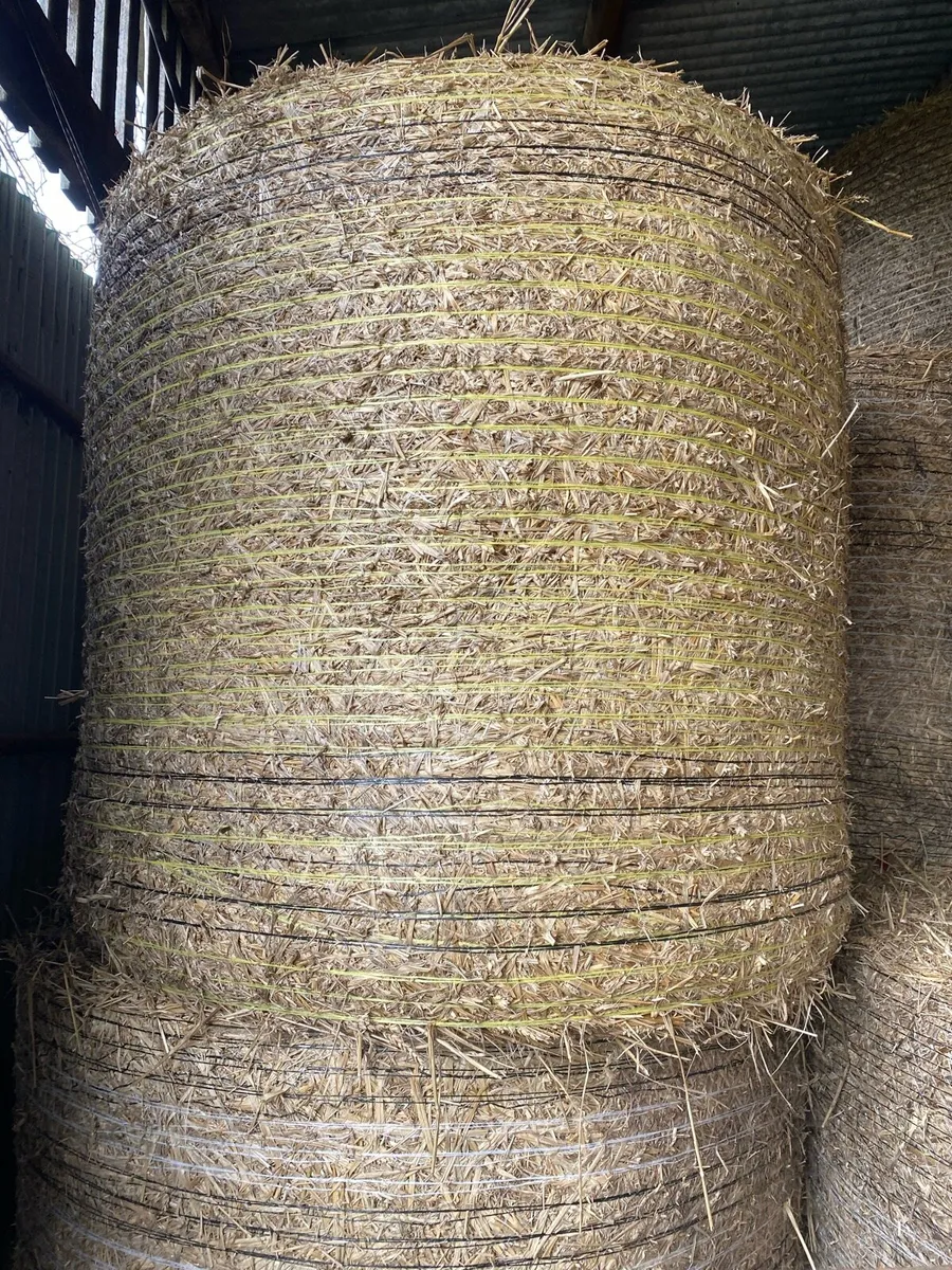Wheaten Straw