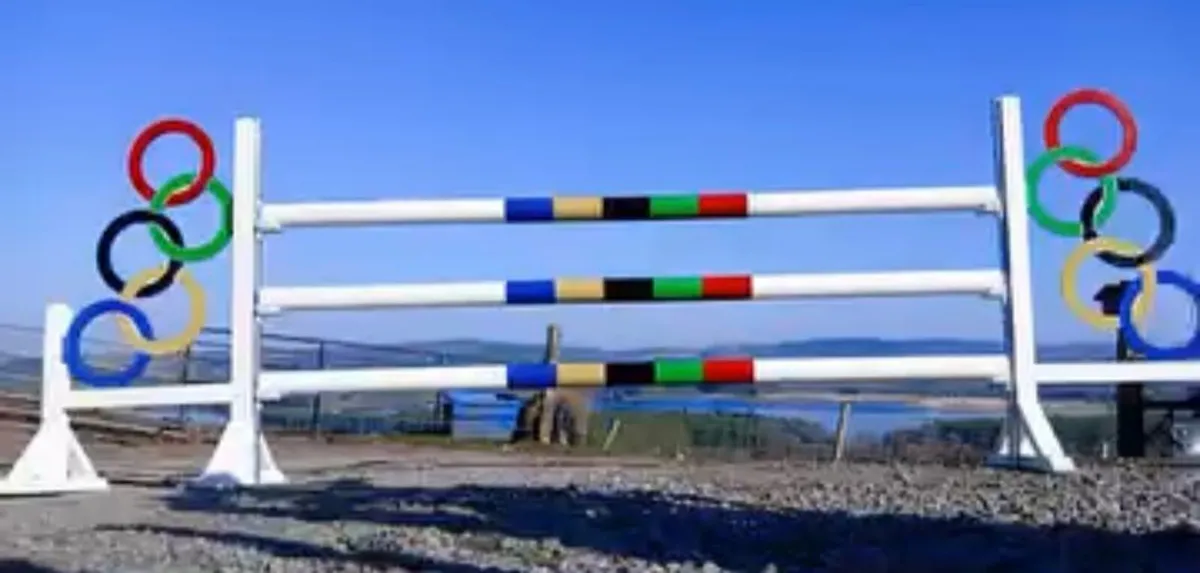 “Premium Show Jumps, XC Jumps & Working Hunter Fen - Image 2