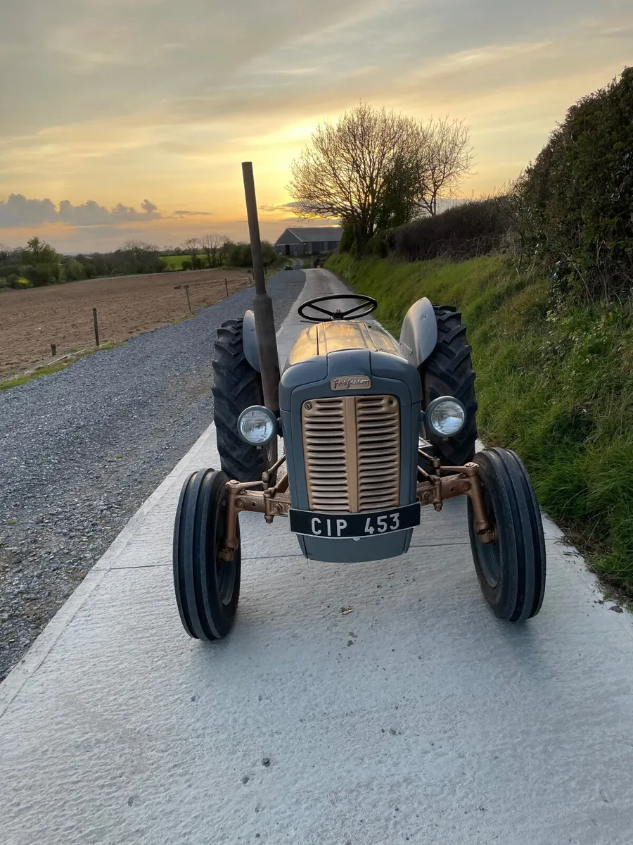 Massey Ferguson Gold Belly 35 - Image 2