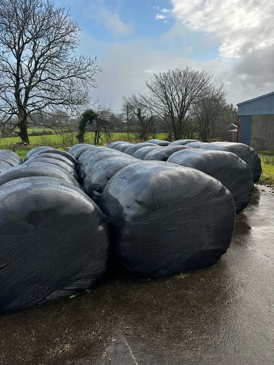 Bales of silage - Image 1