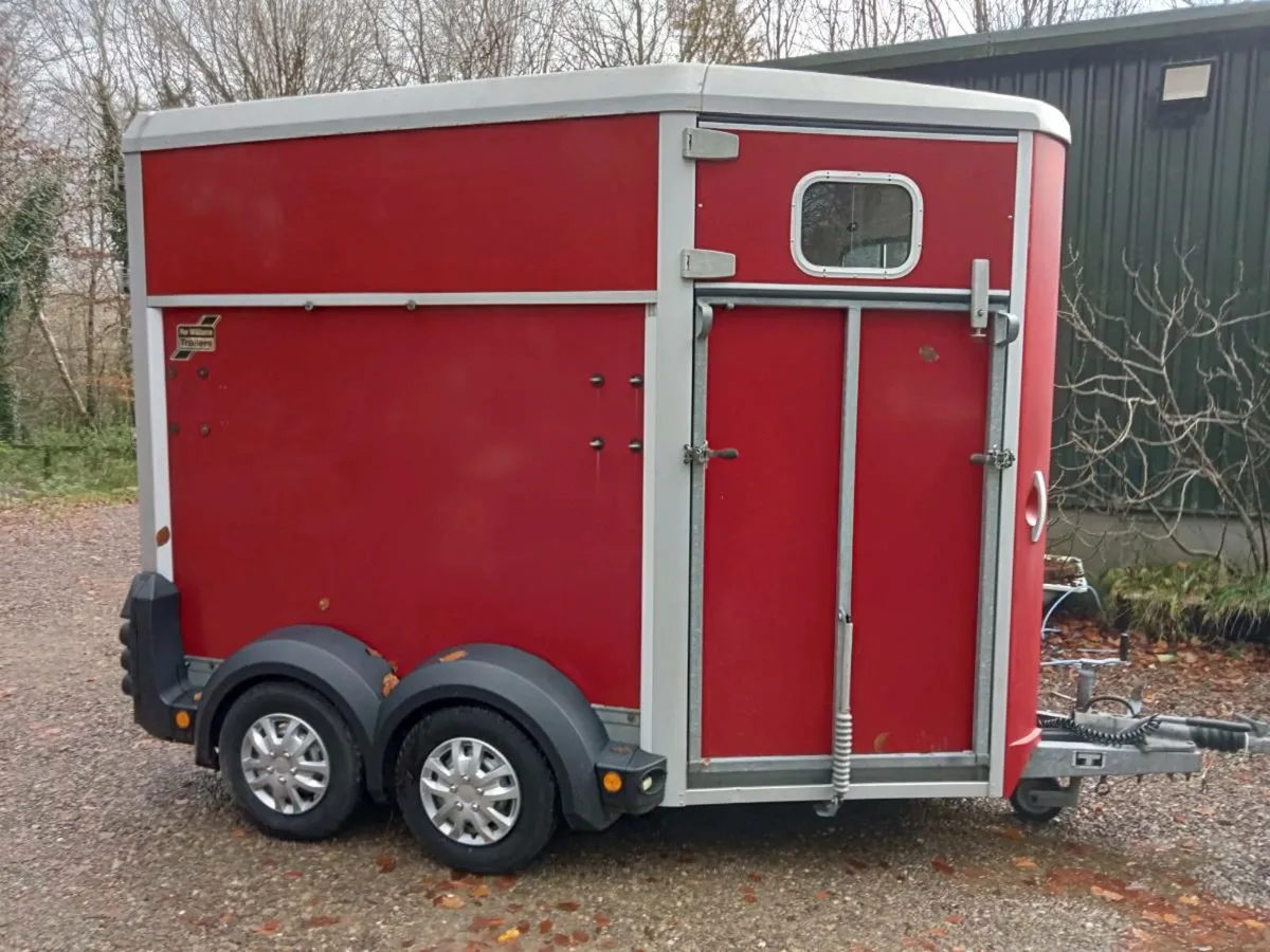 Ifor Williams horse box Hb 506 - Image 1