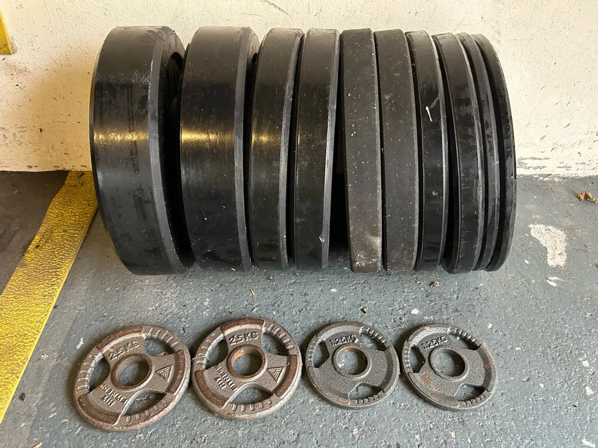 Bumper Weight Plates - Image 1